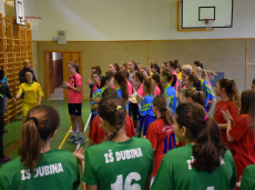 Turnaj dívek v basketbalu – Okrskové kolo