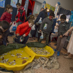 IMG_5622 (Kopírovat).jpg