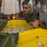 IMG_5624 (Kopírovat).jpg