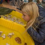 IMG_5631 (Kopírovat).jpg