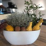 thumbnail_image0 (1).jpg