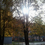 01Jiřina Beranová 5. B.jpg