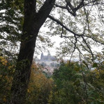 1Vojtěchovská Žofie 5. B.jpg