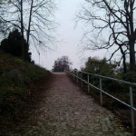 02Jiřina Beranová 5. B.jpg