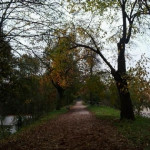 03Jiřina Beranová 5. B.jpg