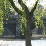 3Věra Málková 5. B.jpg