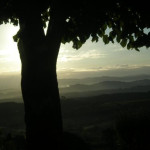 Iva Herynková13.jpg