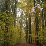 Iva Herynková14.jpg