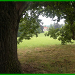 Kamila Kohoutová - okno k zámeckým komnatám.jpg