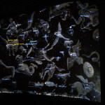 IMG_7088 (Kopírovat).jpg