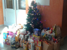 Vánoční strom pro zvířátka