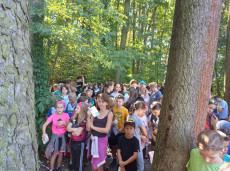 Liga škol v orientačním běhu