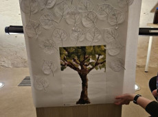 Pohádkové putování 2.B