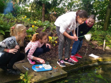 Ekocentrum Paleta VI.A